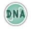 DNA